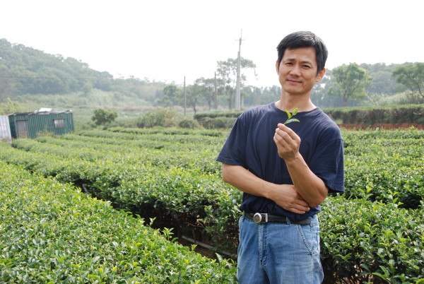 Plantáž, na ktorej sa pestujú čaje v organickej kvalite